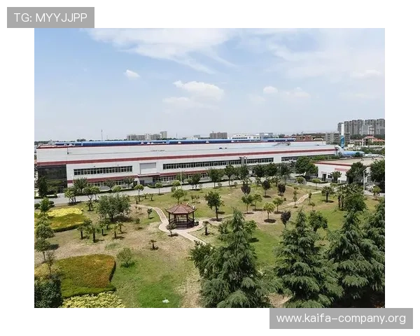 凯发集团网站最新官方平台全面介绍与使用指南